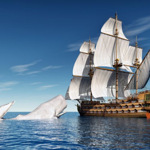 Flagship on the ocean with a white whale in the water